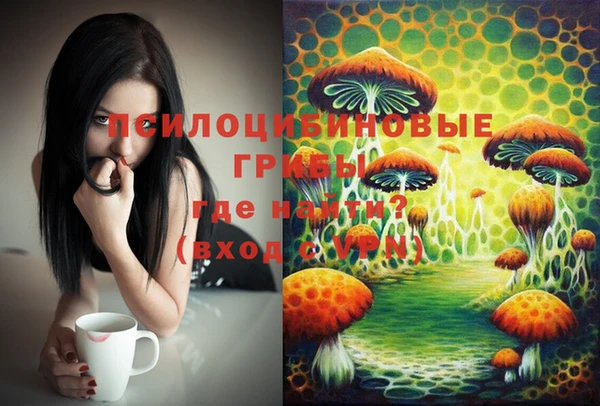 марки lsd Елабуга