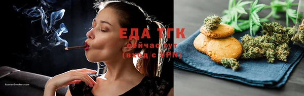 соль ск Ельня