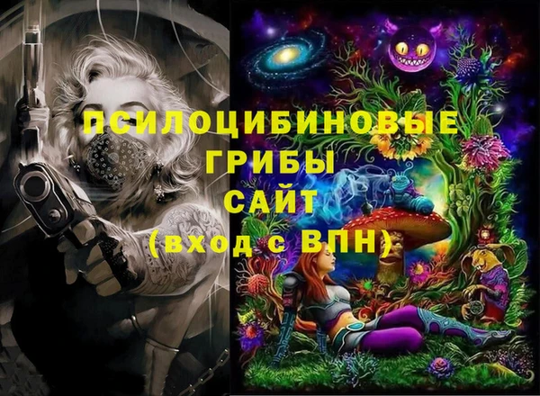 кокс Елизово