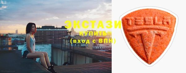соль ск Ельня