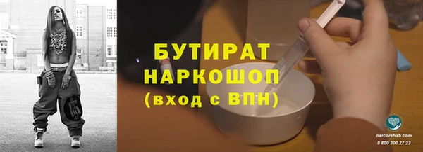 соль ск Ельня
