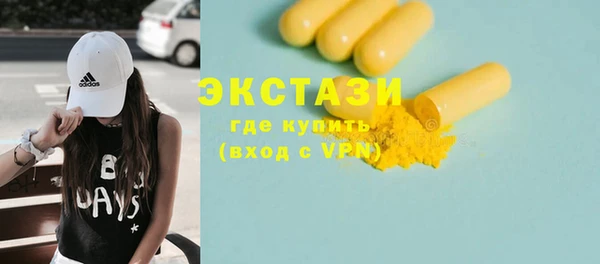 соль ск Ельня