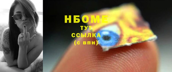 соль ск Ельня