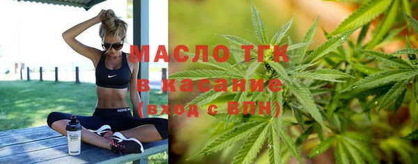 соль ск Ельня