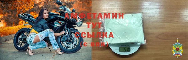 соль ск Ельня