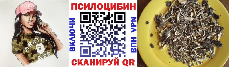 Купить  Инза  Галлюциногенные грибы мухоморы 